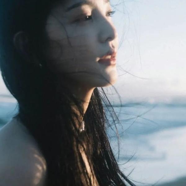 边境威龙